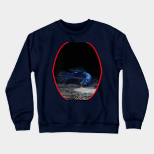 fish, cute fish, fish colorful, fish coral, beatiful fish Crewneck Sweatshirt